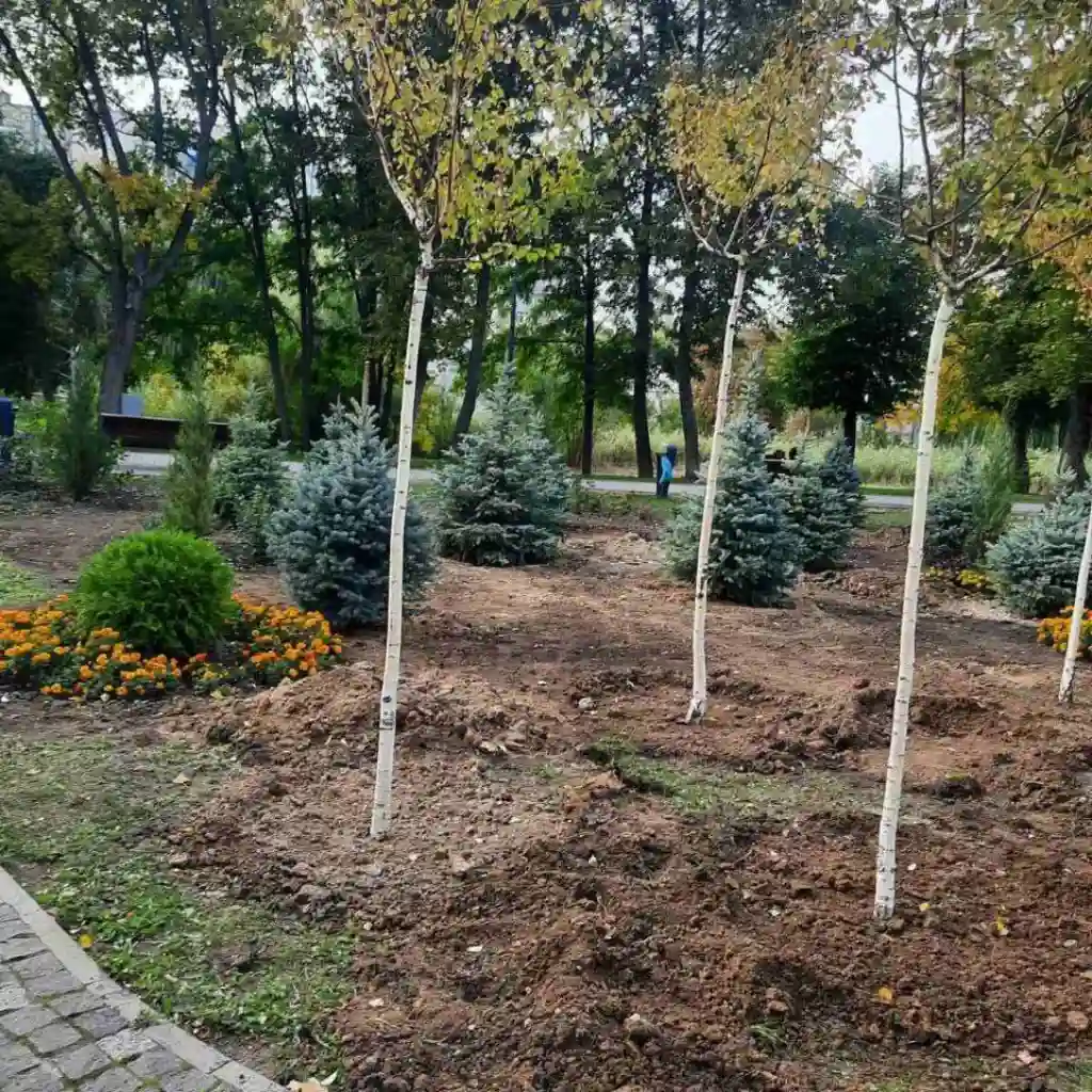 У Харкові висадили понад 300 рідкісних дерев та кущів у парку «Юність» У Харкові висадили понад 300 рідкісних дерев та кущів у парку «Юність»
