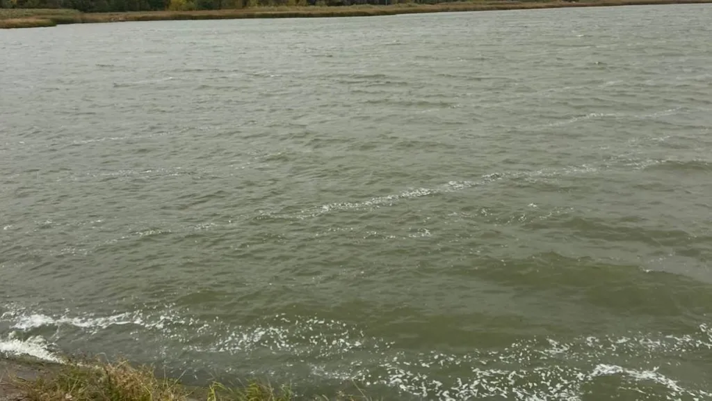 Забродівське водосховище на Харківщині повернули у власність громади через рішення суду Забродівське водосховище на Харківщині повернули у власність громади через рішення суду
