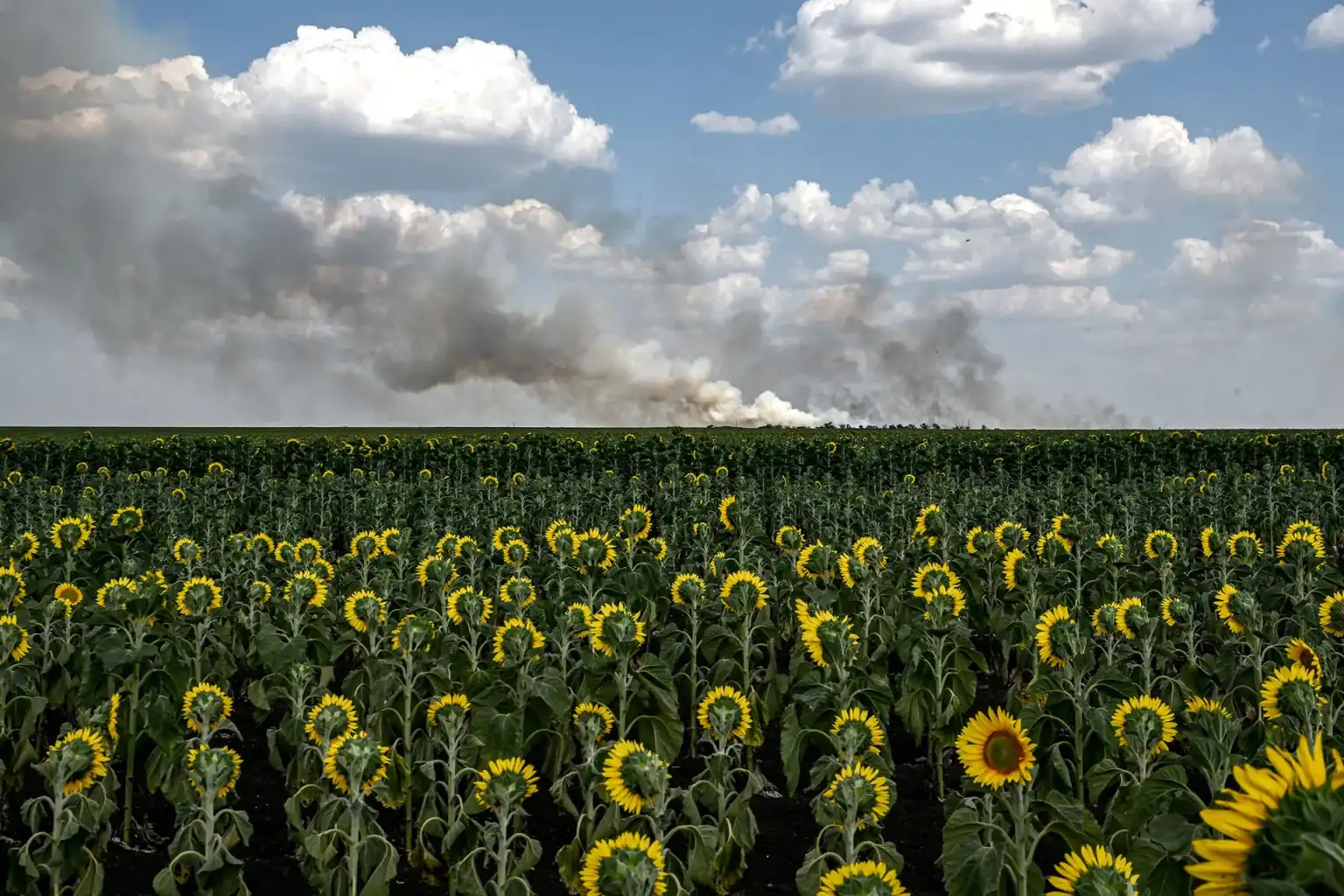 Фото з Харкова увійшло до ТОП-100 знімків року за версією TIME Фото з Харкова увійшло до ТОП-100 знімків року за версією TIME
