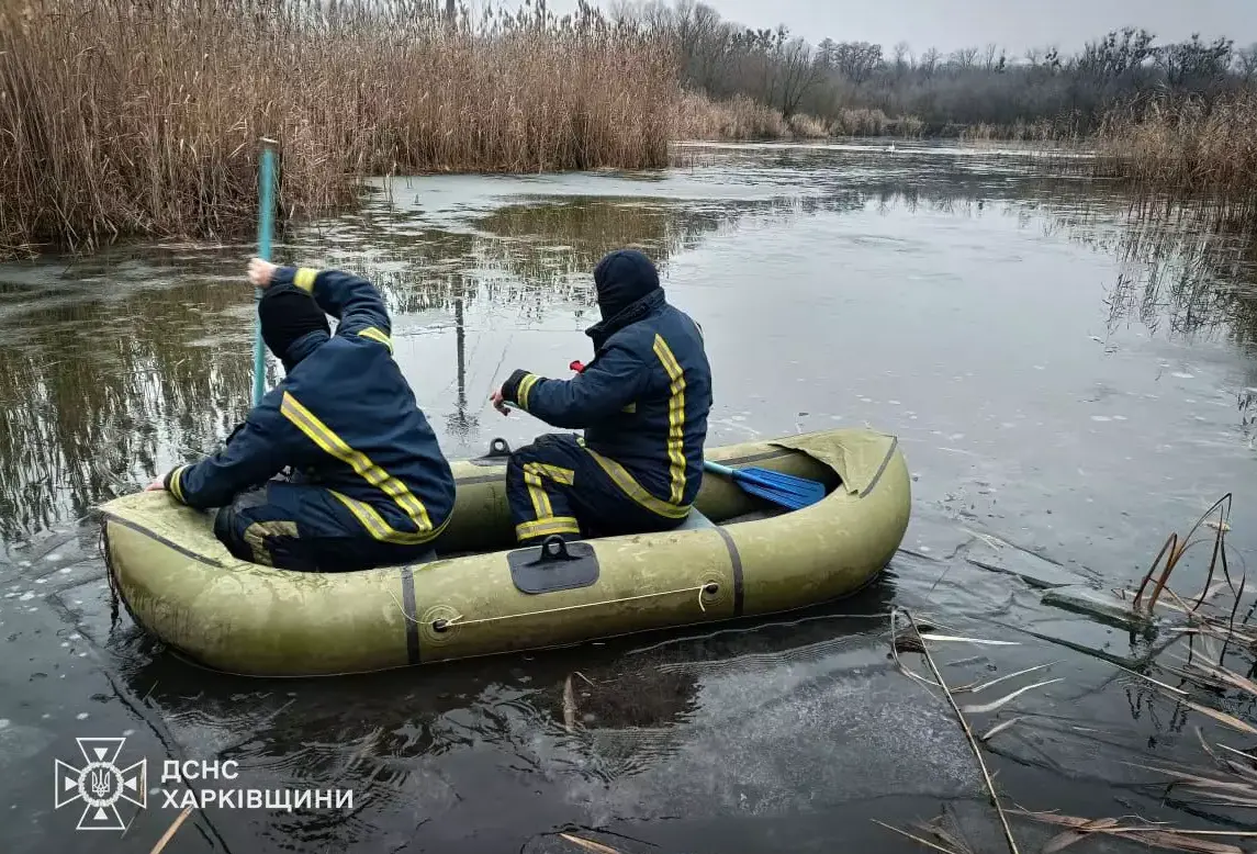 На ставку під Харковом рятувальники повернули волю пораненому лебедю На ставку під Харковом рятувальники повернули волю пораненому лебедю