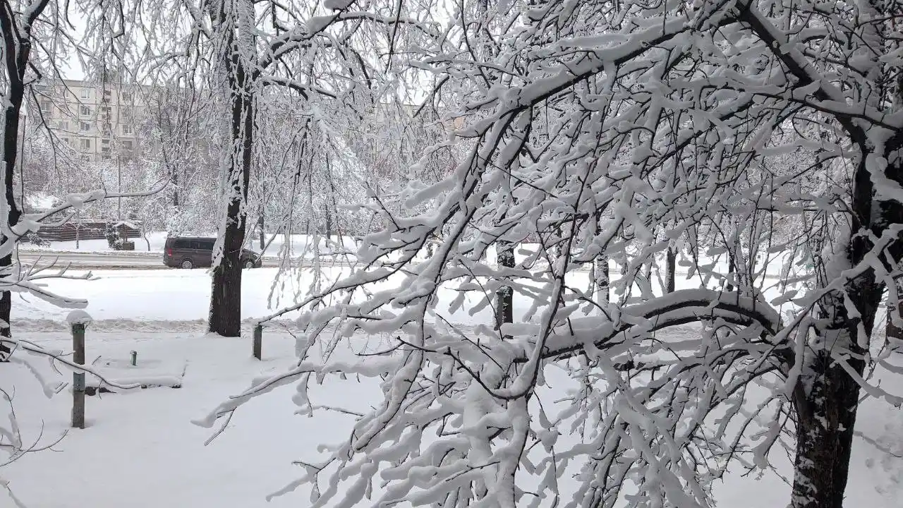 Харків накриває снігова буря: що очікувати 26 грудня Харків накриває снігова буря: що очікувати 26 грудня
