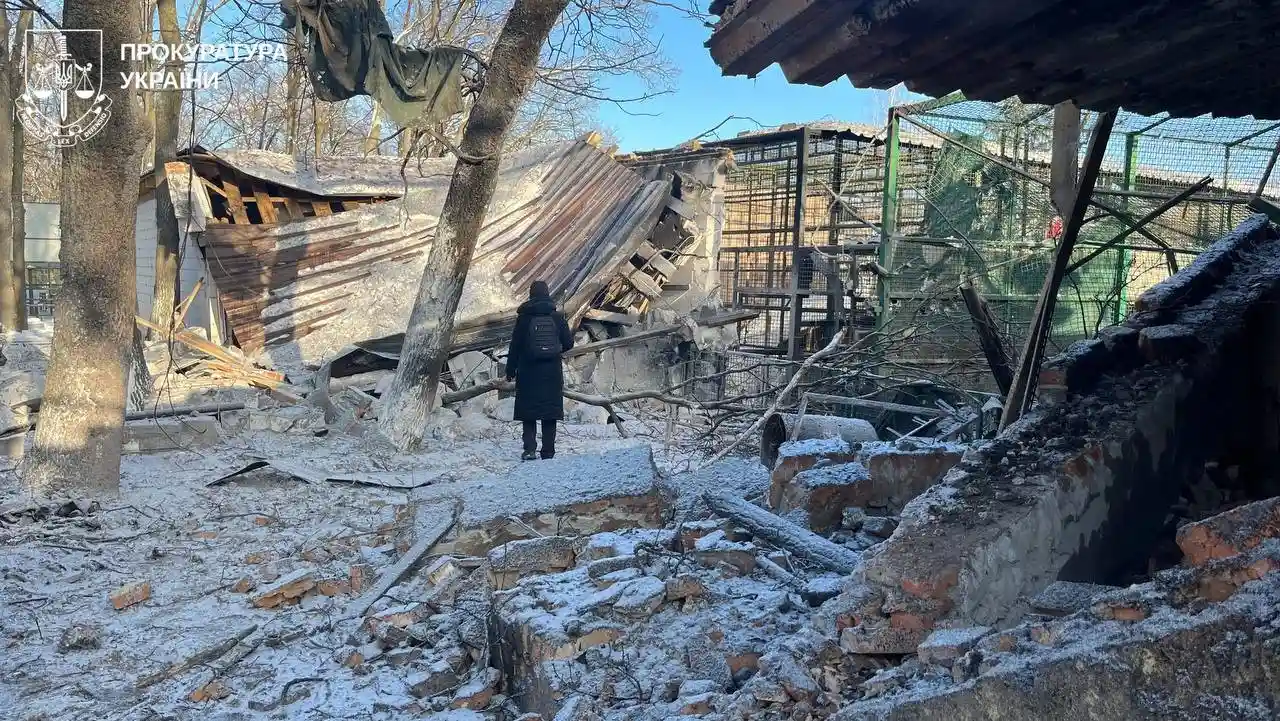 Авiаудар по екопарку на Харківщині: загинули птахи, поранено волонтерку