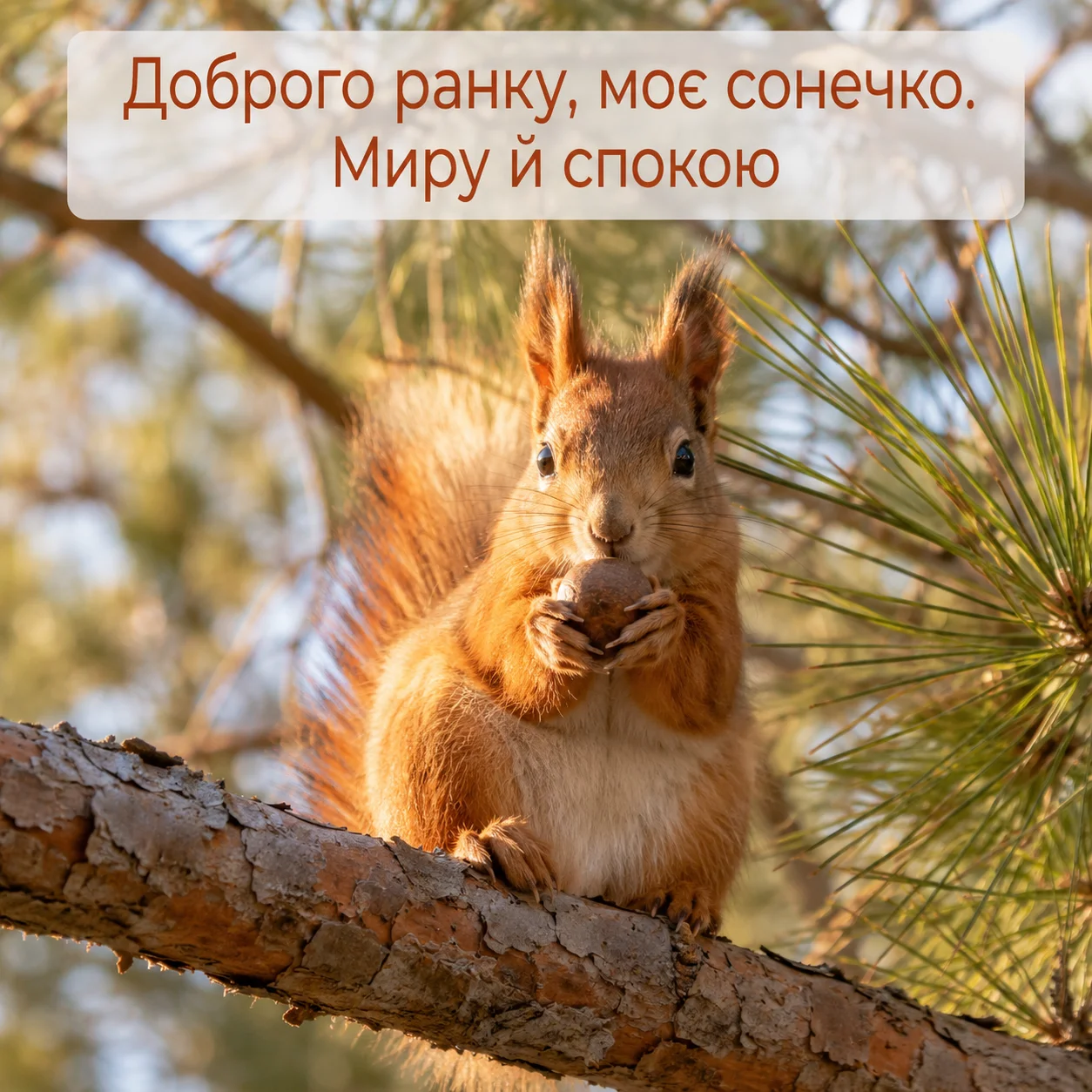 Доброго ранку, моє сонечко: картинки та найтепліші побажання для чудового настрою